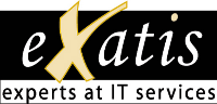 Experts at IT services Logo
